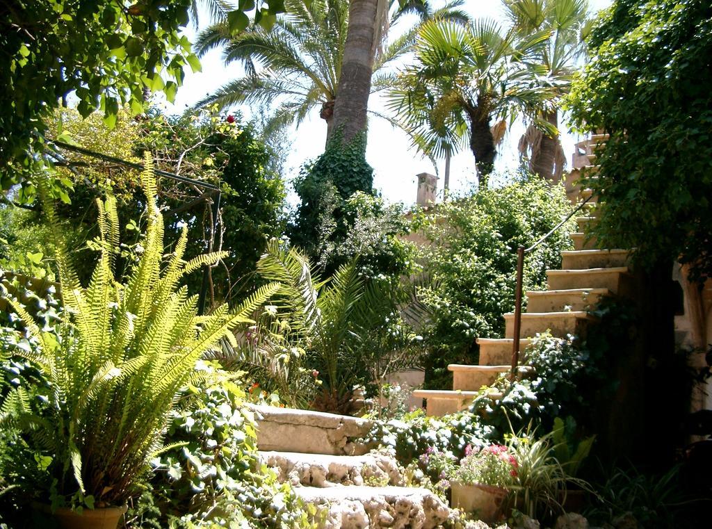 Finca Raims Альгайда Екстер'єр фото