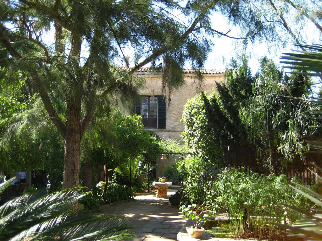 Finca Raims Альгайда Екстер'єр фото