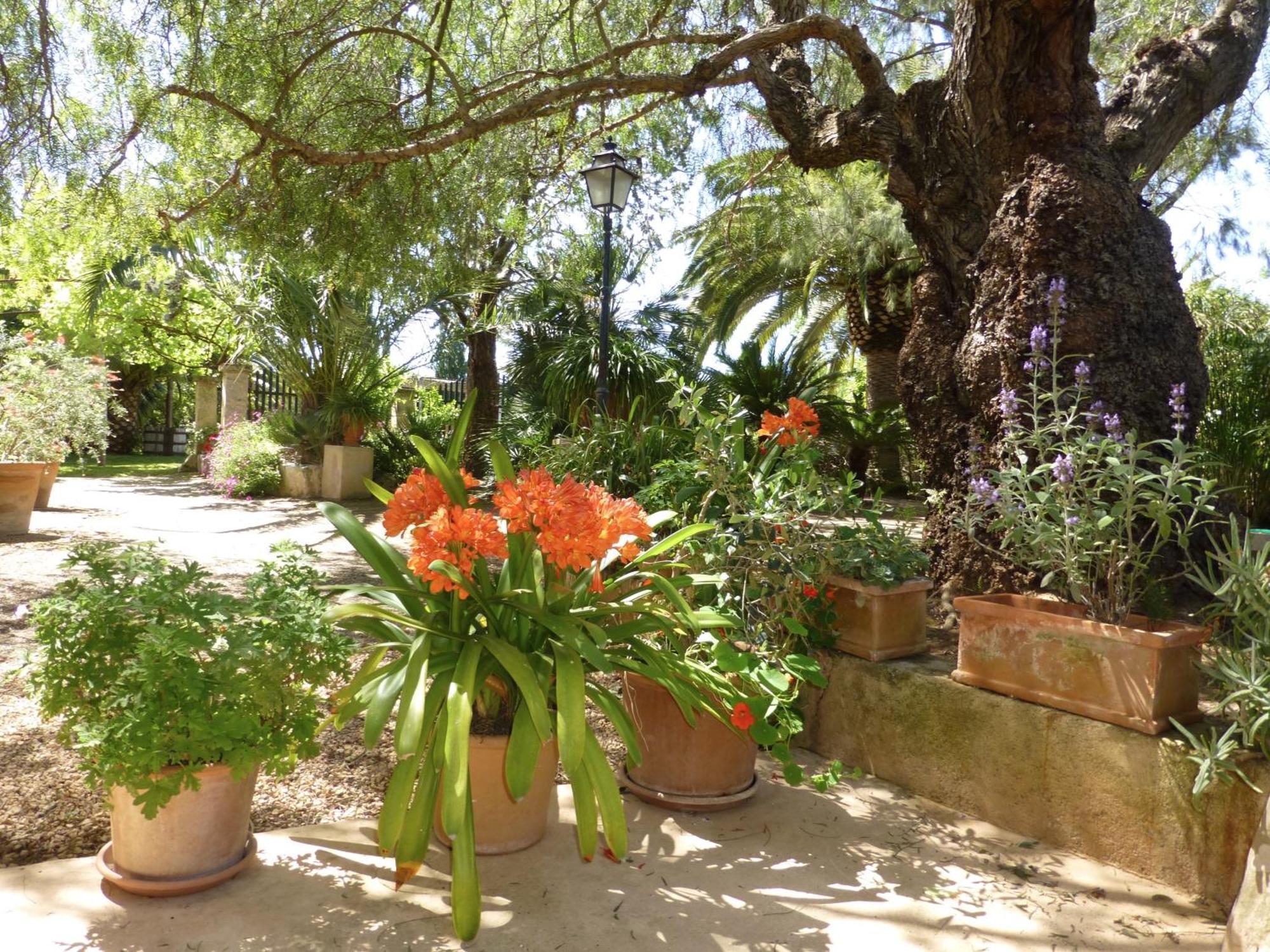 Finca Raims Альгайда Екстер'єр фото