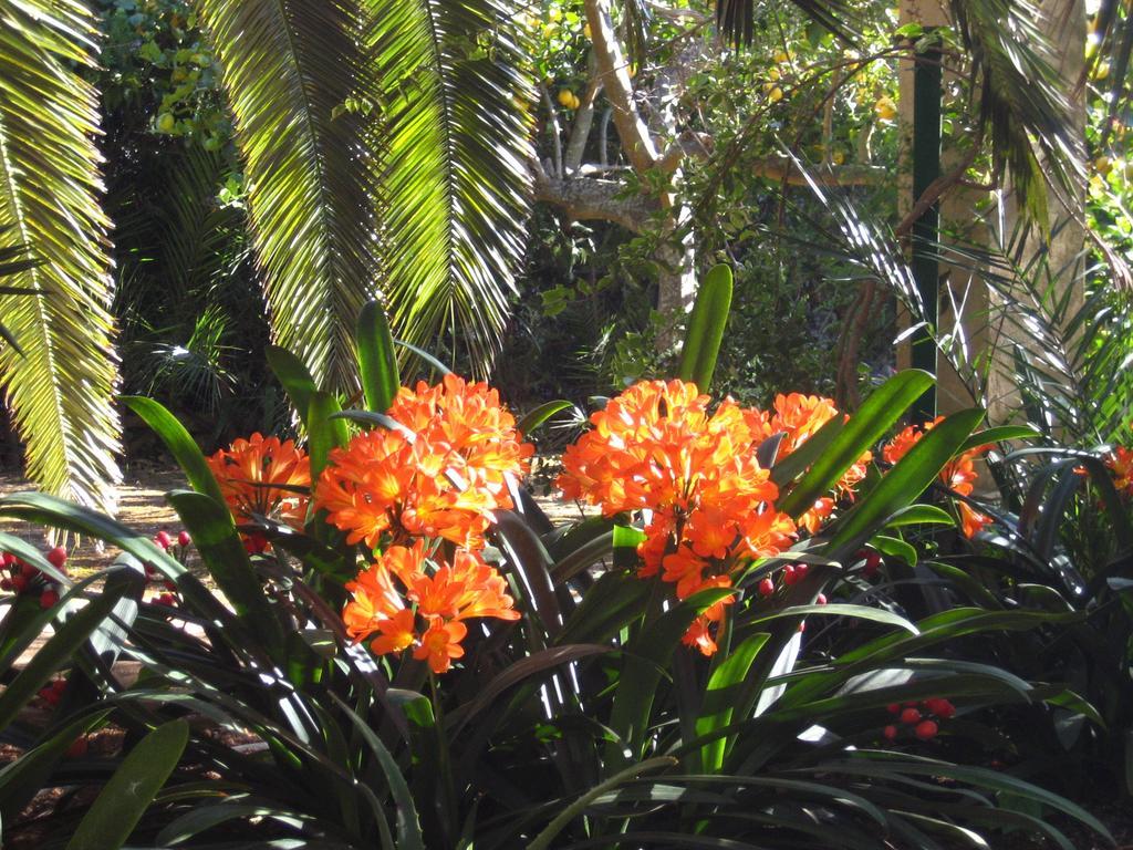 Finca Raims Альгайда Екстер'єр фото